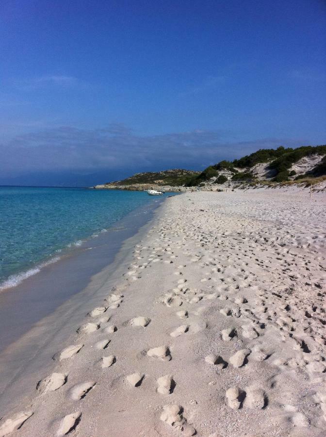 2 Terrasses Face De 100m2 Apartment Saint-Florent (Corsica)