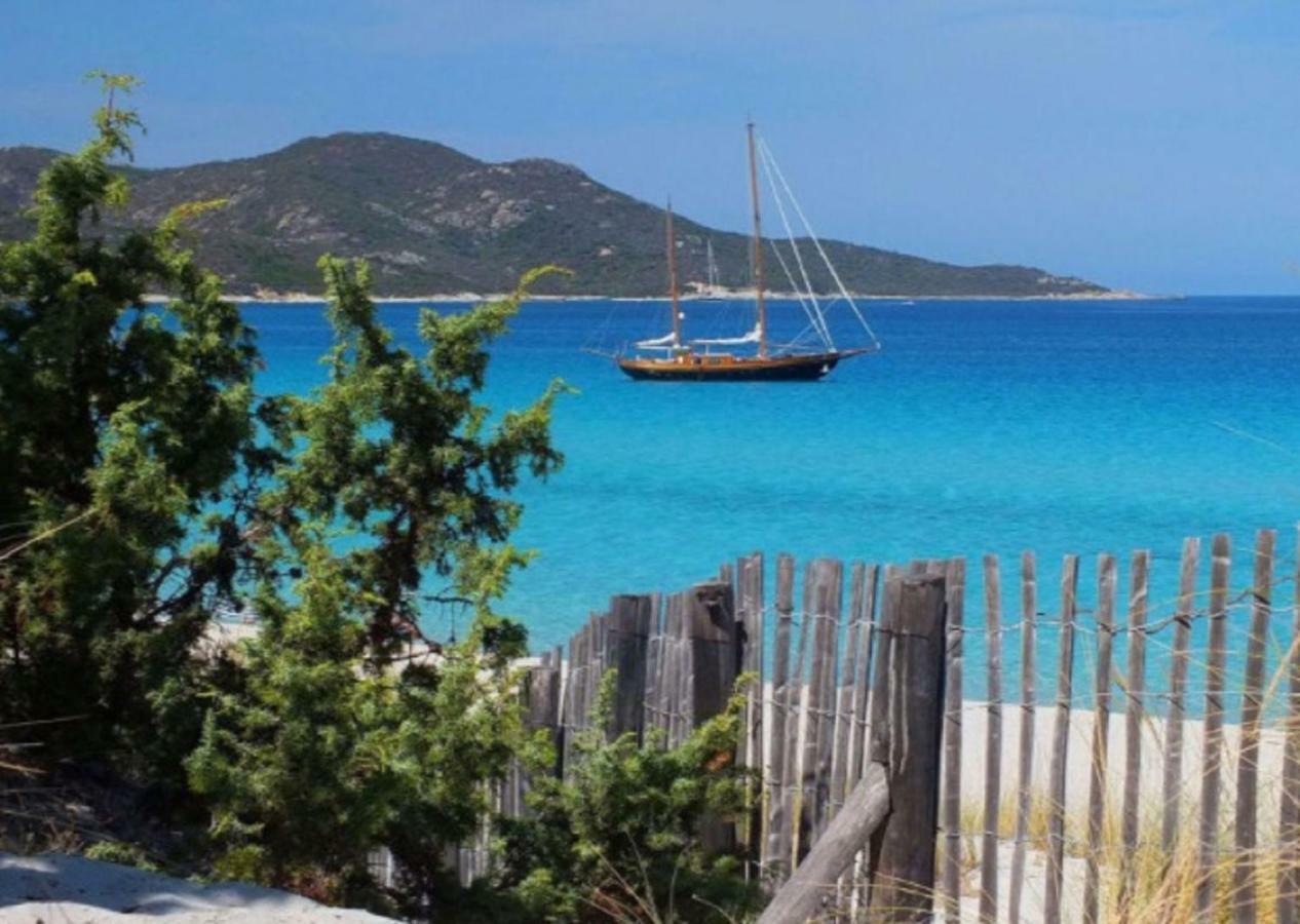 2 Terrasses Face De 100m2 Saint-Florent (Corsica)